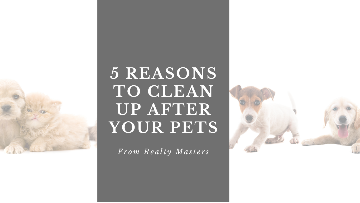 5 Reasons to Clean Up After your Pets